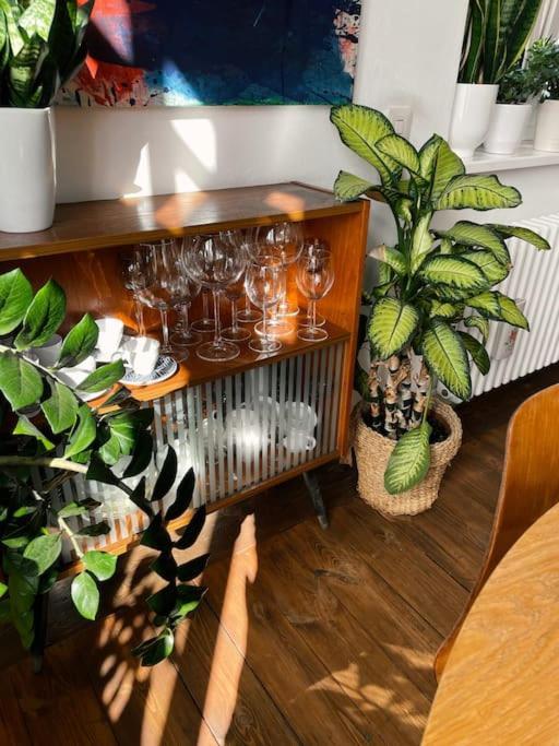 Lägenhet Nastrojowe Mieszkanie W Centrum